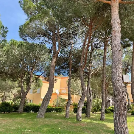 Apartment Avec Terrasse, Proche Et Commerces A - Fr-1-225-449 *